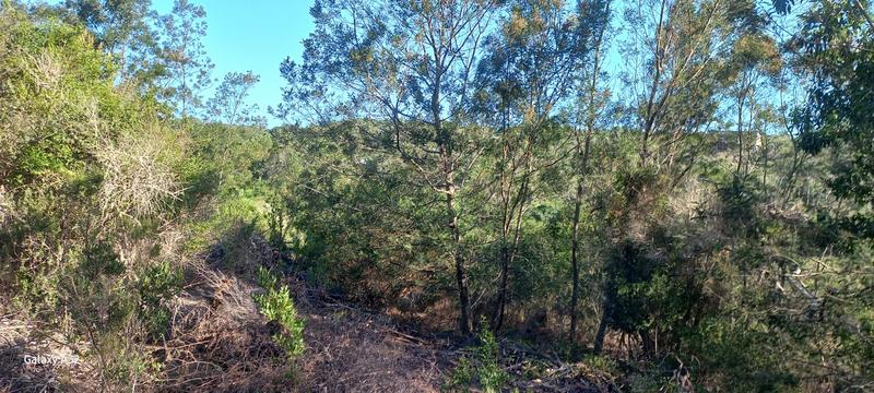 0 Bedroom Property for Sale in Wilderness Western Cape